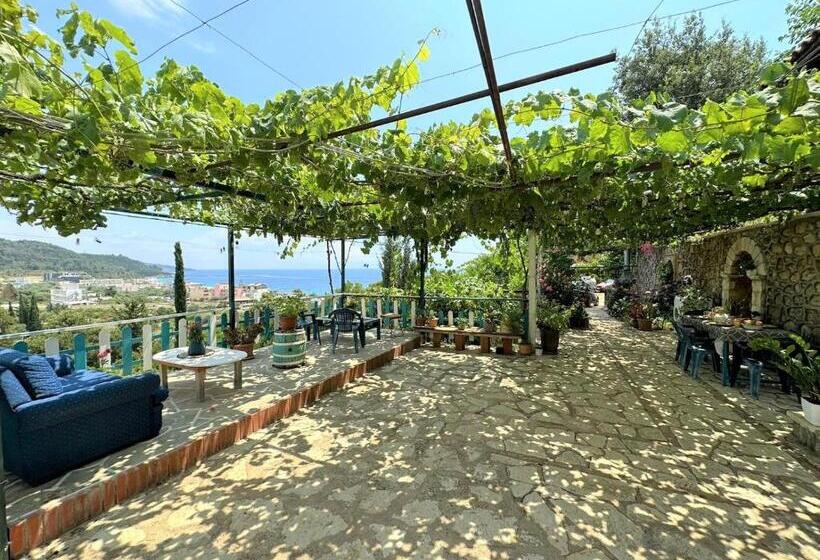 Family Suite, Boungainvillea