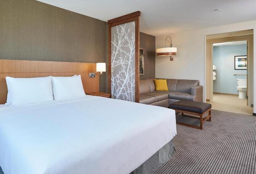 Habitació Estàndard Llit King, Hyatt Place Toronto/mississauga Centre