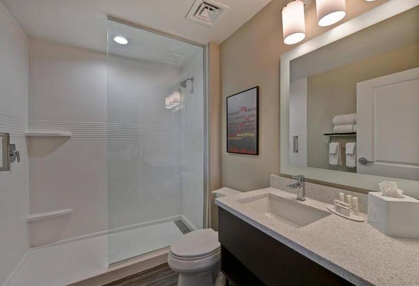 Люкс Кровать Кинг, Towneplace Suites By Marriott El Paso East/i10
