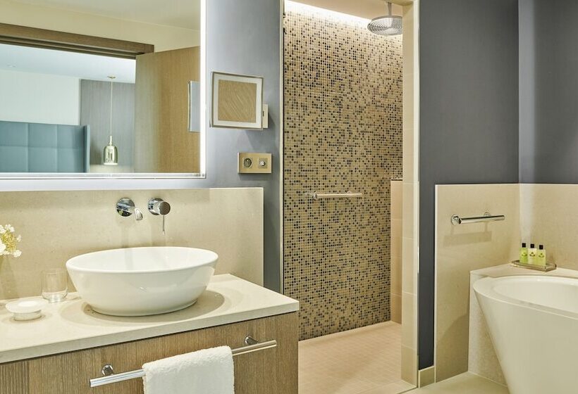 سوییت پرستیژ, Intercontinental Lyon   Hotel Dieu, An Ihg
