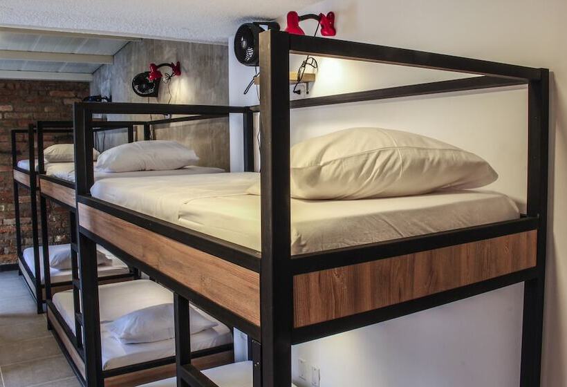 共用房间的床, Zamia Hostel