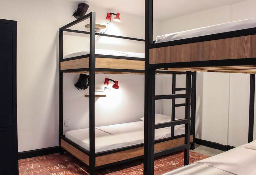 共用房间的床, Zamia Hostel