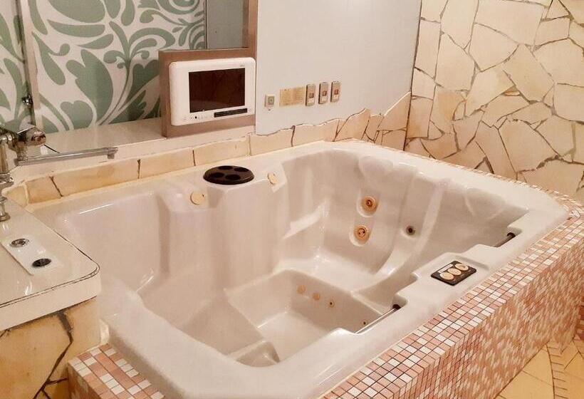 Номер Стандарт, Restay Tokushima Aine