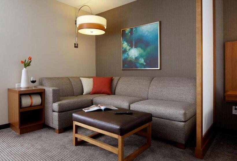 Стандартный Номер Кровать Кинг, Hyatt Place Calgary Airport