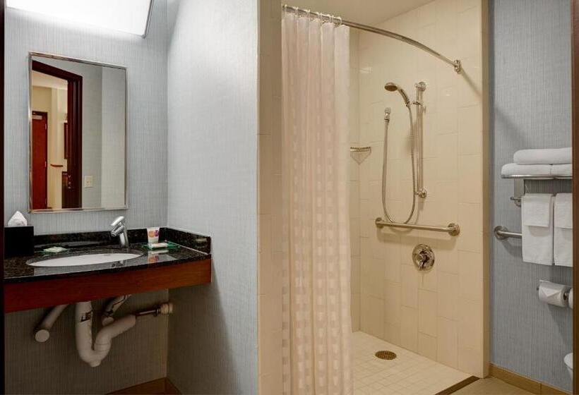 Номер Стандарт Адаптированный для Инвалидов, Hyatt Place Calgary Airport