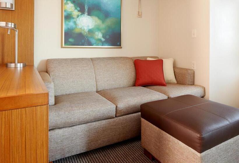 Стандартный Номер Кровать Кинг, Hyatt Place Calgary Airport
