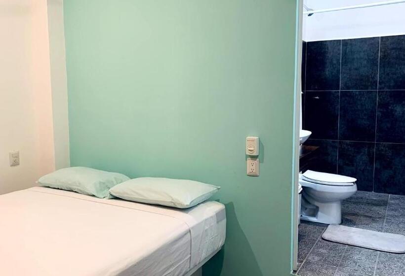스탠다드 룸, Paziflora Hostel
