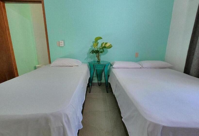 공동 객실, Paziflora Hostel
