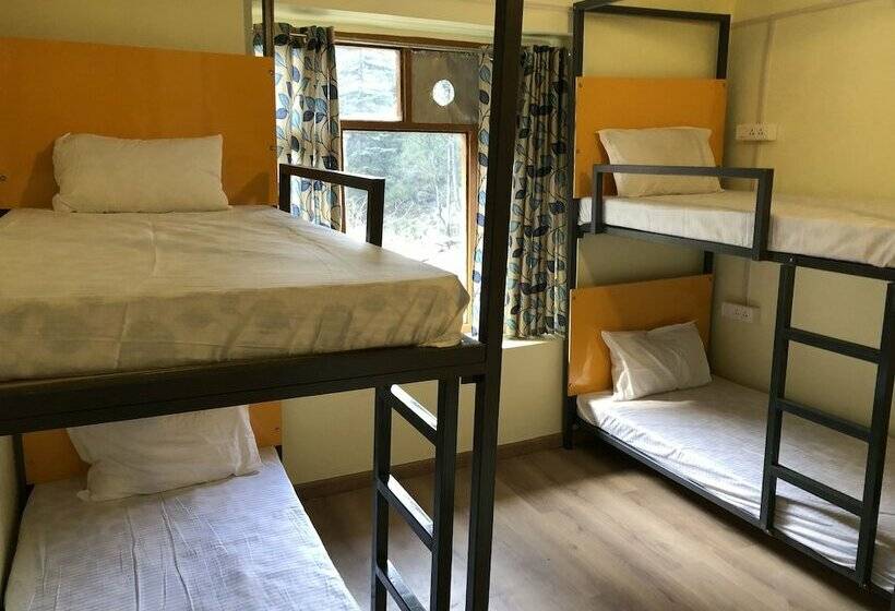 سرير فى غرفة مشتركه, Moustache Kasol   Hostel