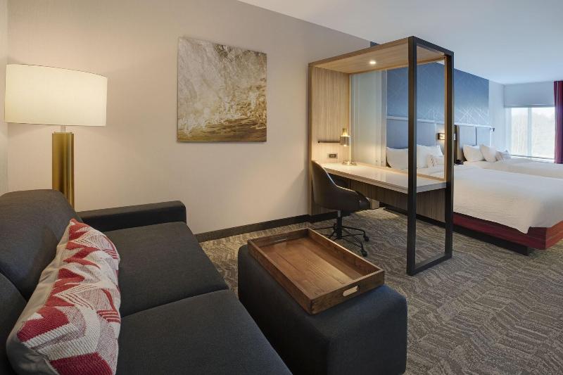 سوئیت با تخت بزرگ, Springhill Suites By Marriott Hampton Portsmouth