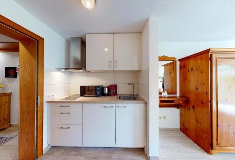 Апартаменты 1 Спальня с Террасой, Seepark Appartements
