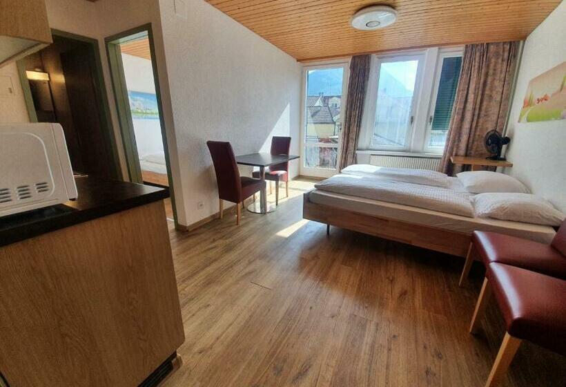 آپارتمان 1 خوابه با بالکن, Downtown Apartment 9