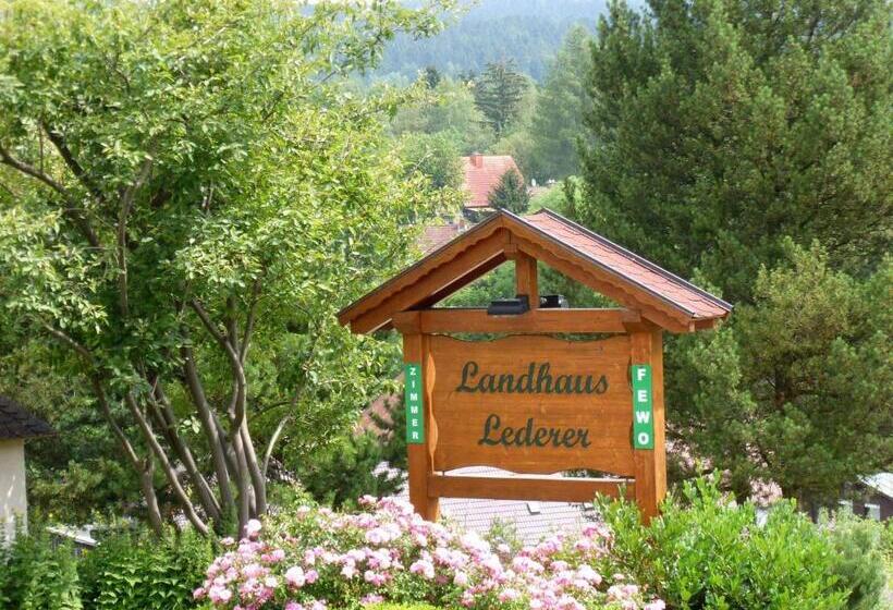 Номер Стандарт Индивидуальный, Landhaus Lederer