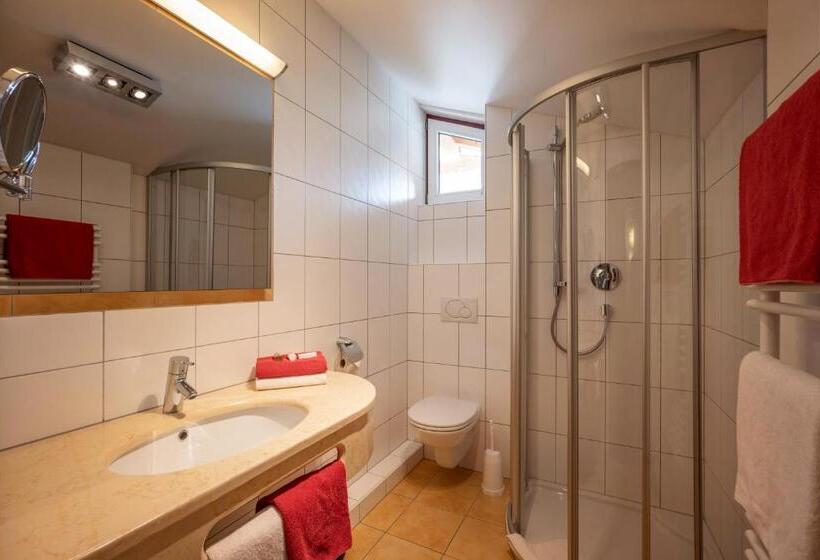 Номер Superior, Alpenrose Hotel Garni