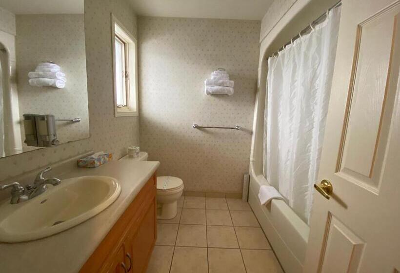 豪华房间, Country Inn Listowel