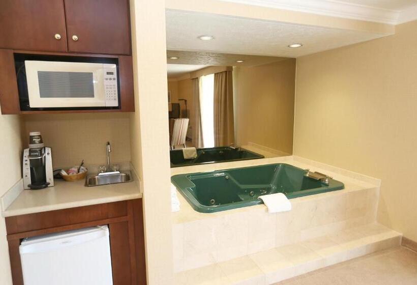 高级套房, Country Inn Listowel