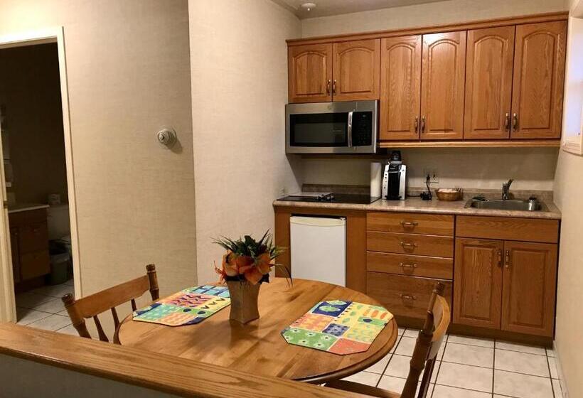 带1个卧室的公寓, Country Inn Listowel