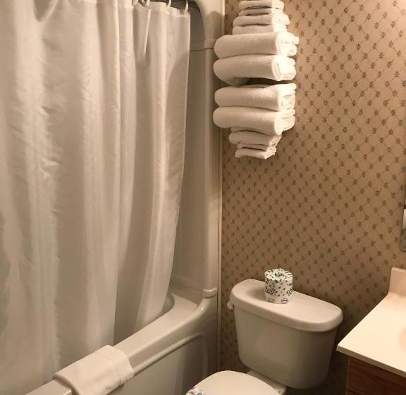 标准三人间, Country Inn Listowel