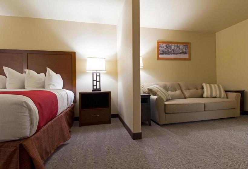 Номер Deluxe Кровать Кинг, Newcastle Lodge & Convention Center