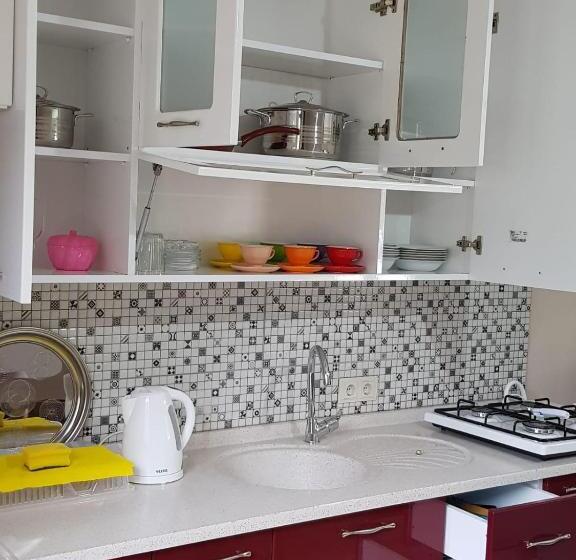 2 Bedrooms Apartment Mountain View, Uzungol Apart
