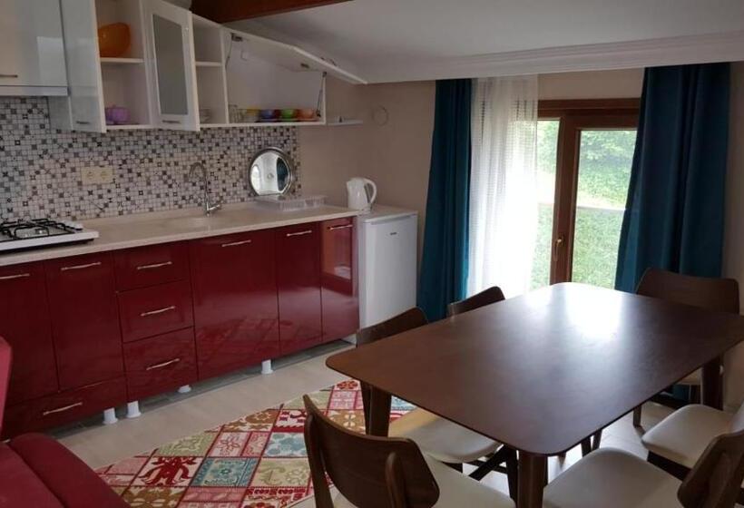 2 Bedrooms Apartment Lake View, Uzungol Apart