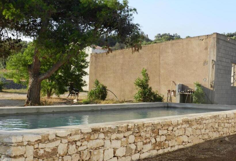 اتاق استاندارد, A Loghja Di Cavallo Morto