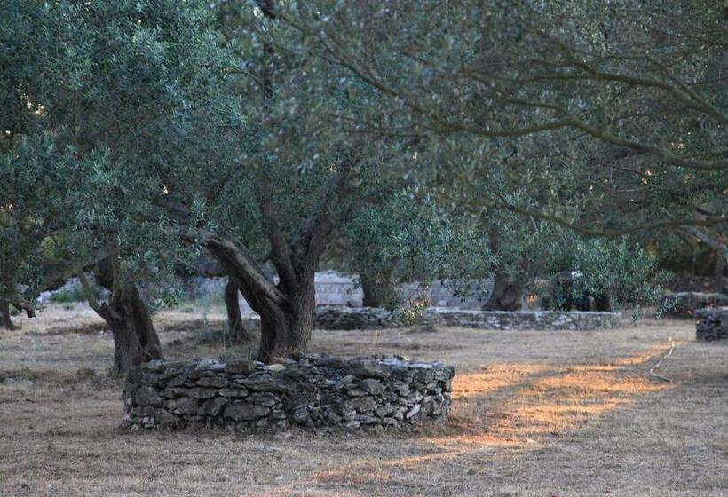 اتاق استاندارد, A Loghja Di Cavallo Morto