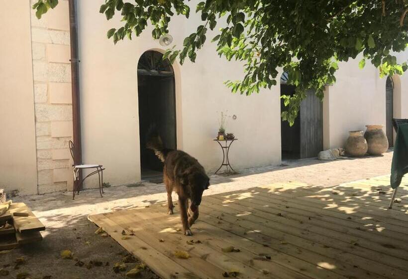 خانه 1 خوابه, A Loghja Di Cavallo Morto