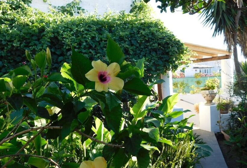 Apartamento 2 Dormitórios, Case La Pergola