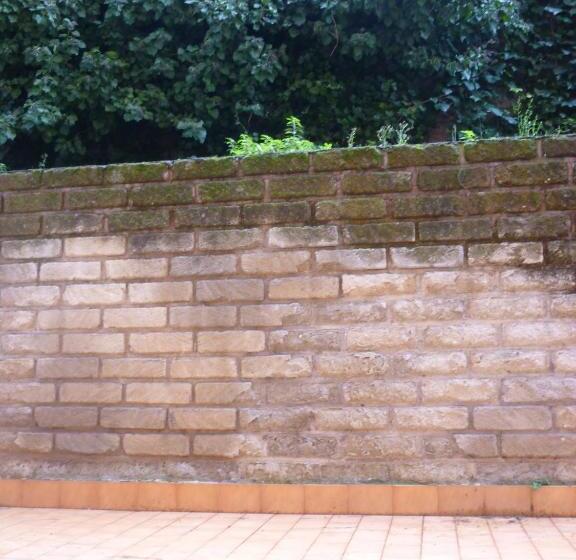 آپارتمان 1 خوابه همکف, Eur Nir Residence