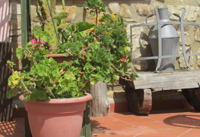 آپارتمان 1 خوابه با تراس, Agriturismo Capuano