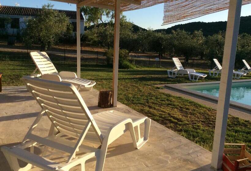 Номер Стандарт, Tenuta Don Ballore