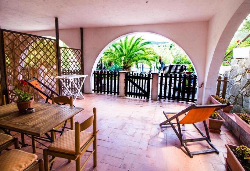 آپارتمان 1 خوابه با تراس, Residence Oasis