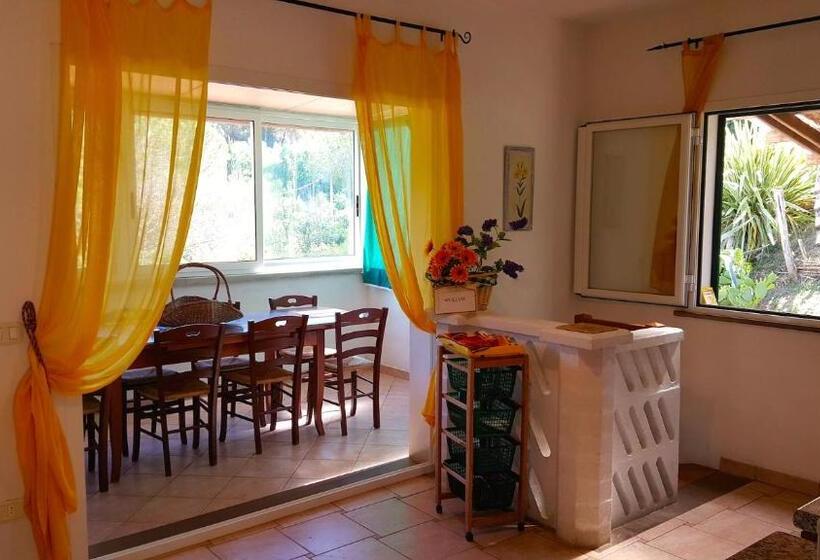 آپارتمان 3 خوابه, Residence Oasis