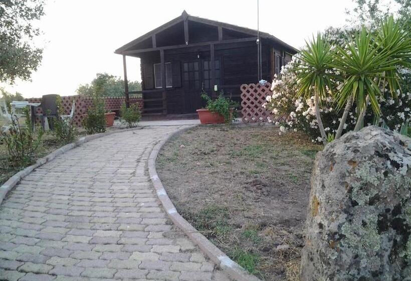بانگلوی استاندارد 2 خوابه, Agriturismo Su Recreu