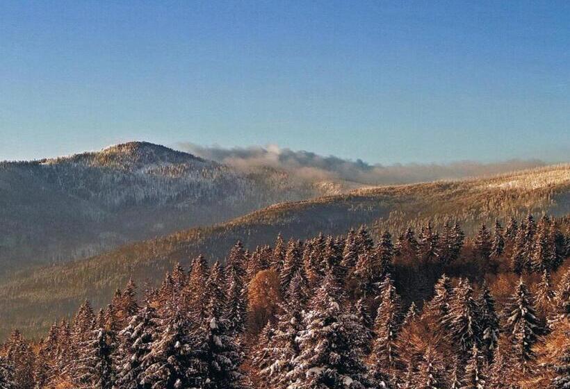 Номер Стандарт Индивидуальный, Berggasthof Lusen