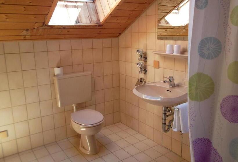 Апартаменты 1 Спальня, Aparthotel Zwiesel
