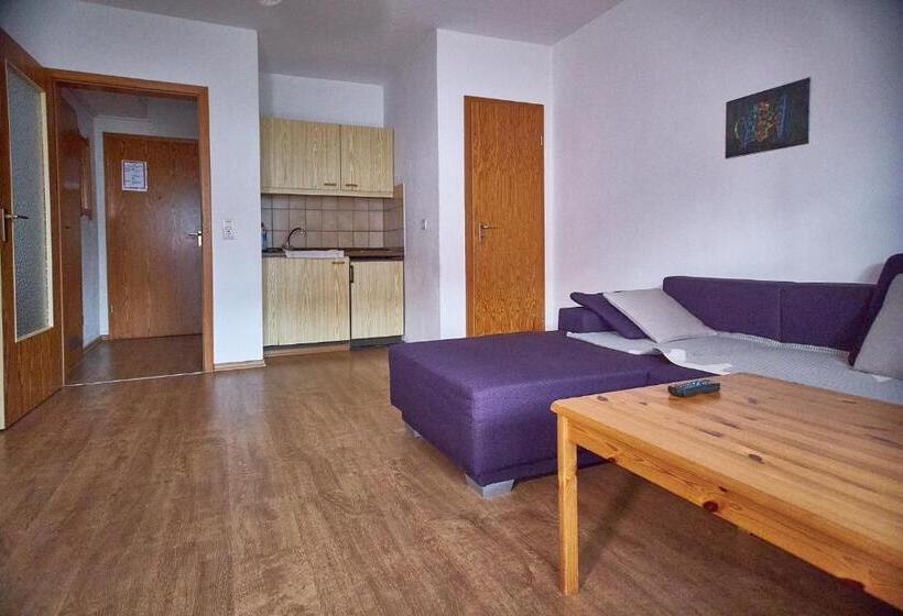Апартаменты 1 Спальня с Балконом, Aparthotel Zwiesel