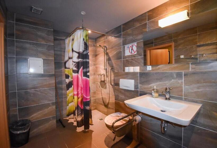 اتاق استاندارد با سرویس بهداشتی مشترک, Boutique Hotel Sena
