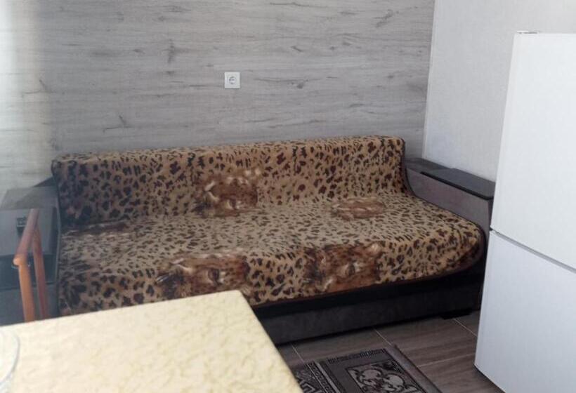 آپارتمان 1 خوابه با بالکن, Villa L Vovskaia