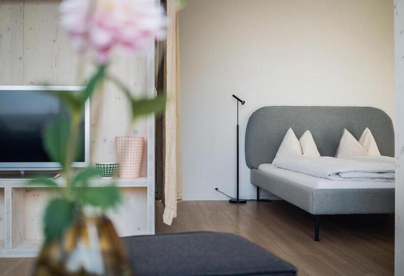 带1个卧室带观景的公寓, Wanderlust Guesthouse
