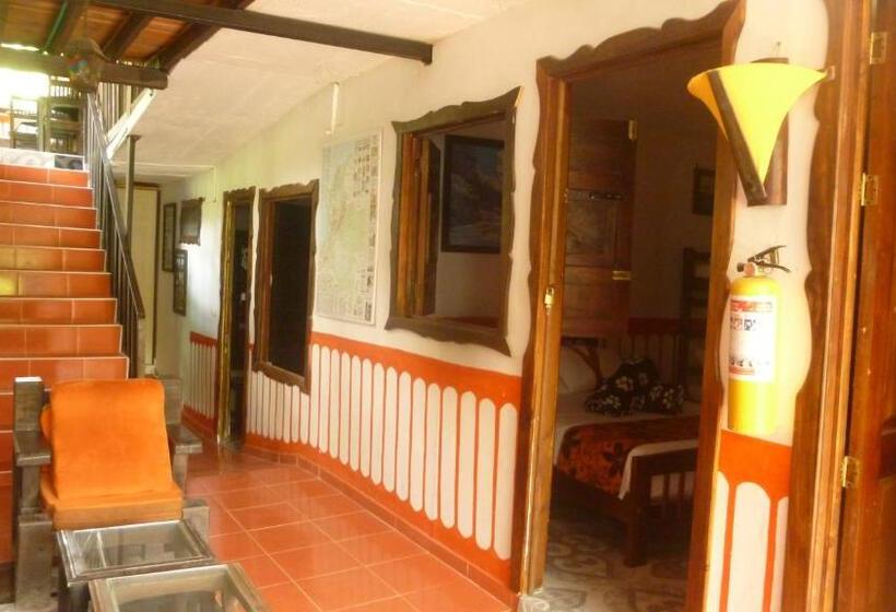 Номер Стандарт, Hostal Casa Artvelez
