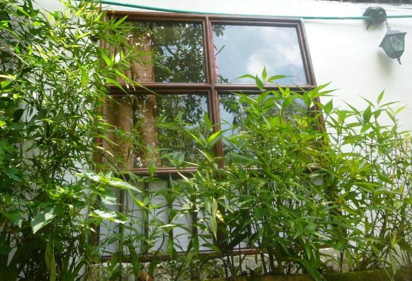 Номер Стандарт Вид на Сад, Hostal Casa Artvelez
