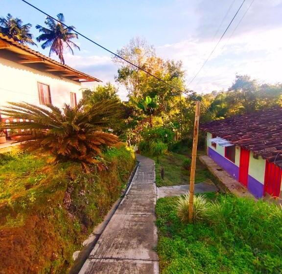 Номер Стандарт, Hostal Casa Artvelez