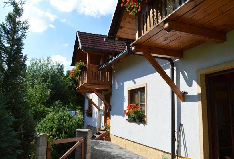 Номер Стандарт, Pension Druhý Domov