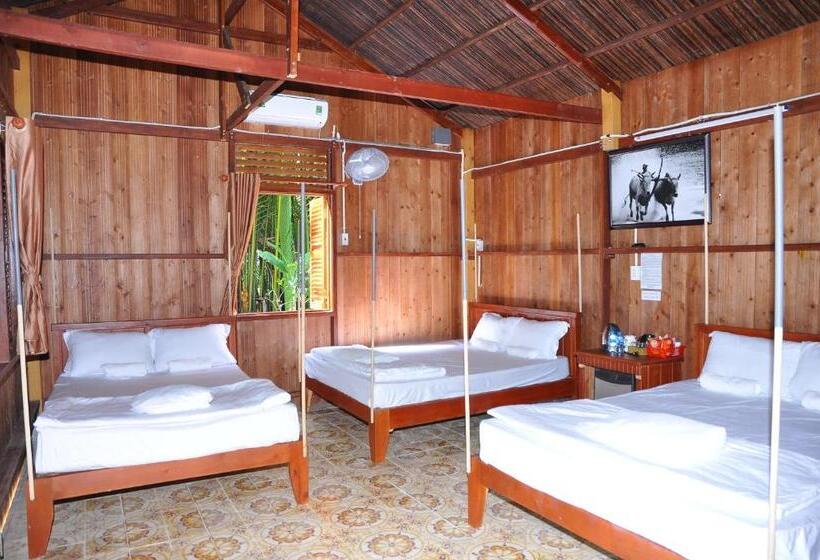 تختخواب در اتاق مشترک, Ben Tre Farm Stay