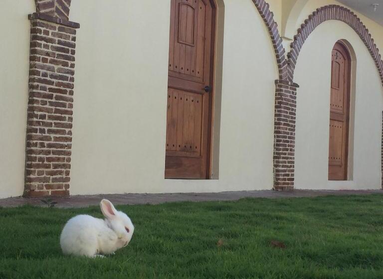 Escritório Estándar, Yamilí
