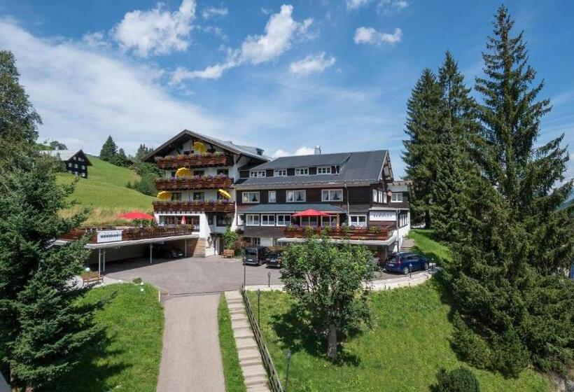 Номер Стандарт, Der Berghof