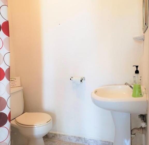 إستوديو قياسى مطل على البحر, Beach Side Condos Caye Caulker By Ccvh