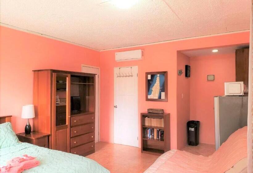 Студио Стандарт Вид на Бассейн, Beach Side Condos Caye Caulker By Ccvh